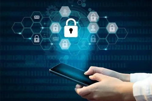 数据泄露风暴再起 网传学习软件信息遭公开售卖，折射网络安全开发之痛